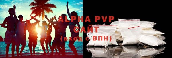 СК Бронницы