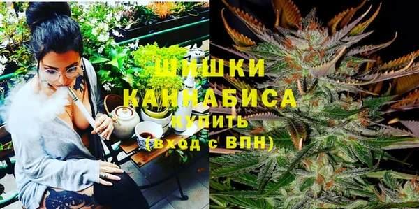 СК Бронницы