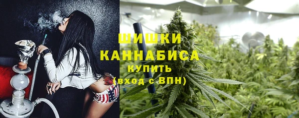 СК Бронницы