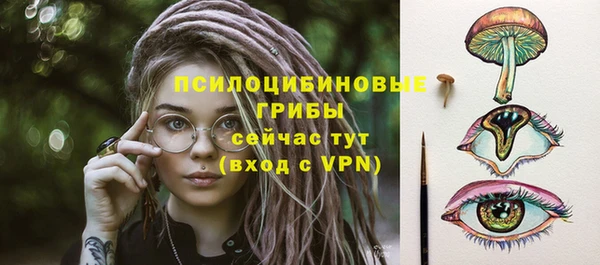 MESCALINE Бородино