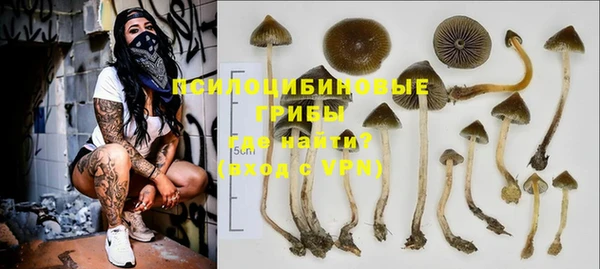 spice Верея