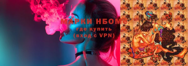 СК Бронницы
