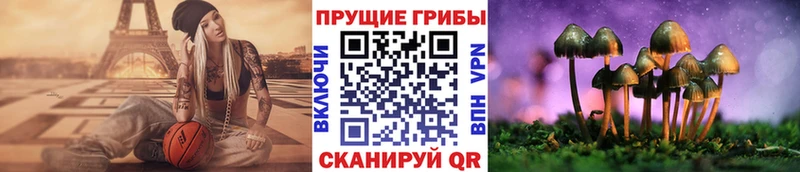 Псилоцибиновые грибы мухоморы  Кисловодск 